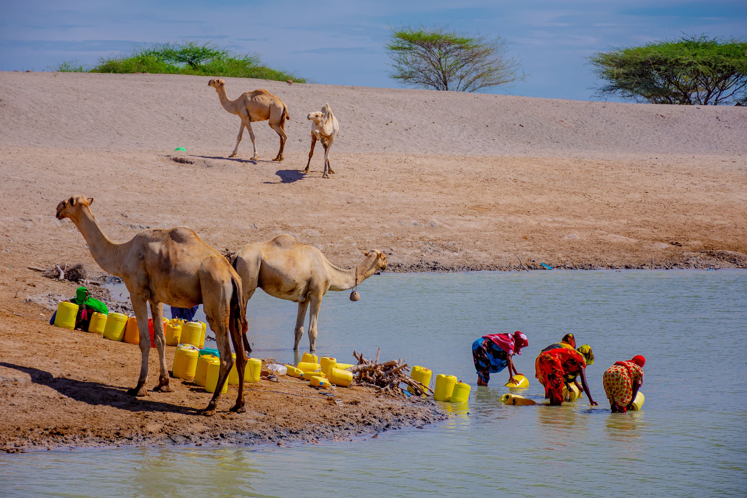 Women collecting water from temporary sources in Somalia